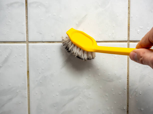 Best Insurance-Related Mold Remediation in Vernon, TX