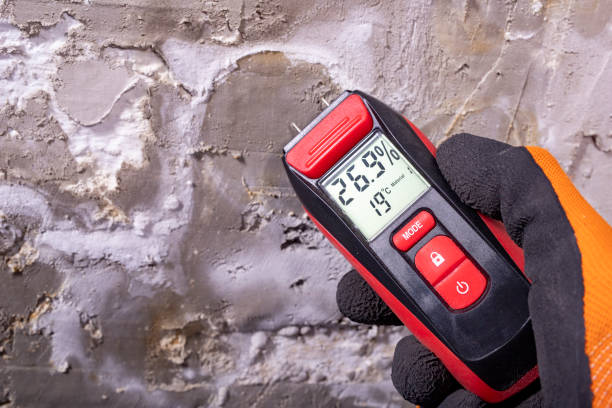 Best Crawl Space Mold Remediation in Vernon, TX