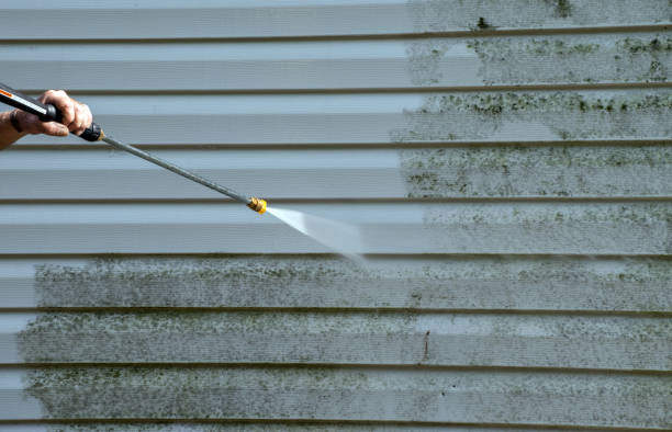 Best Emergency Mold Remediation in Vernon, TX
