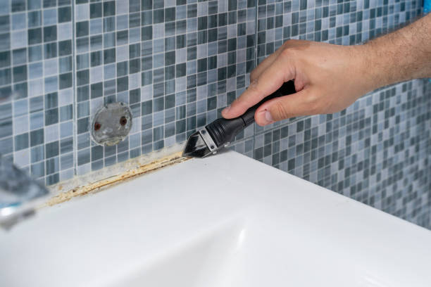 Best Localized Mold Remediation (e.g., coastal areas, humid climates) in Vernon, TX